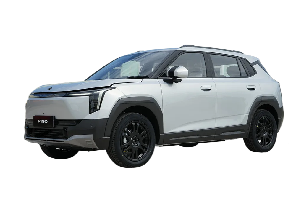 Vigo Silver