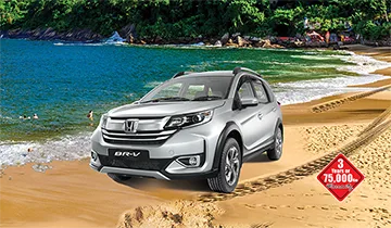 Brv 3