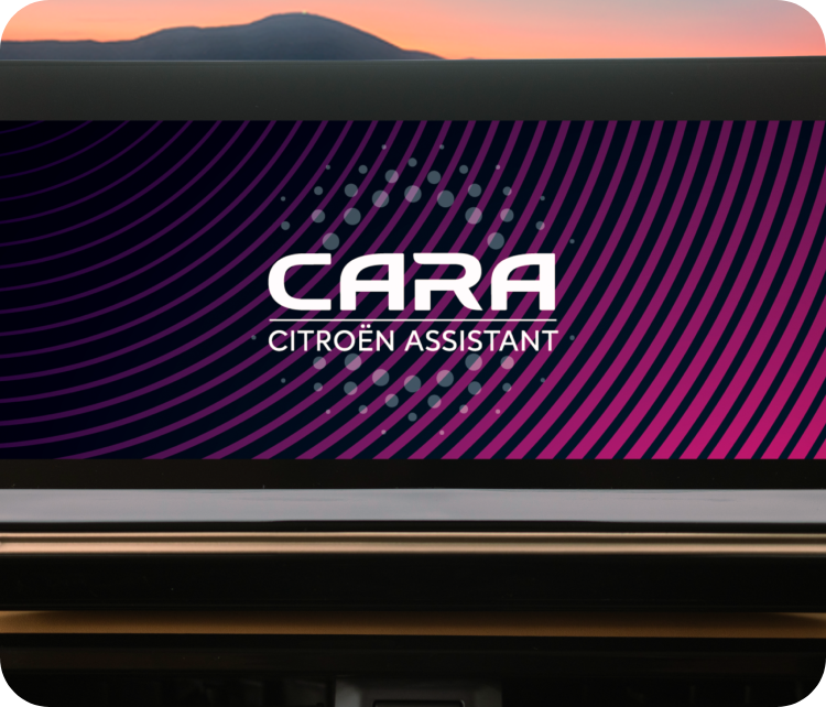 Cara Intelligent Co Passenger