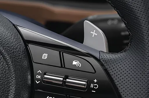 Paddleshifters