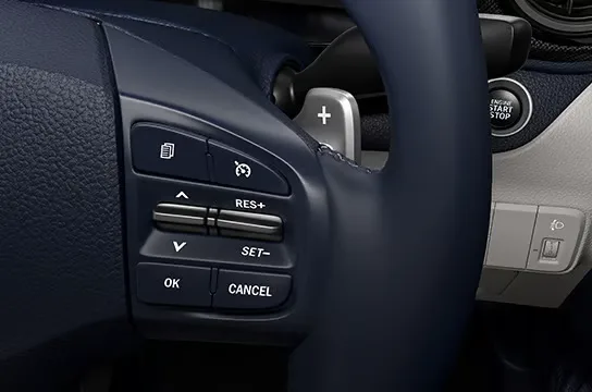 Paddle Shifters