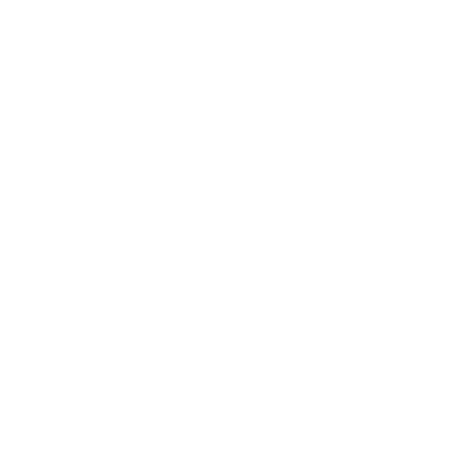 Ico 1