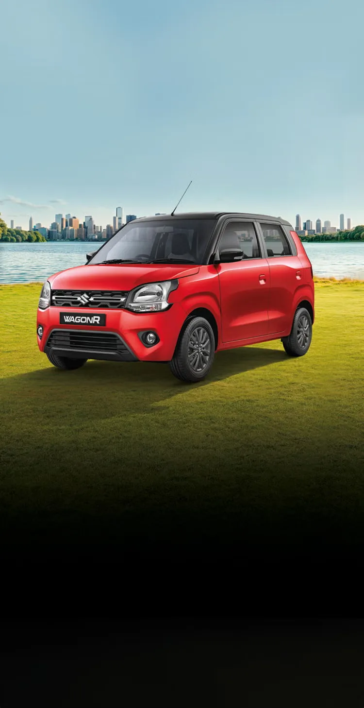 Wagonr Performance 750x1458