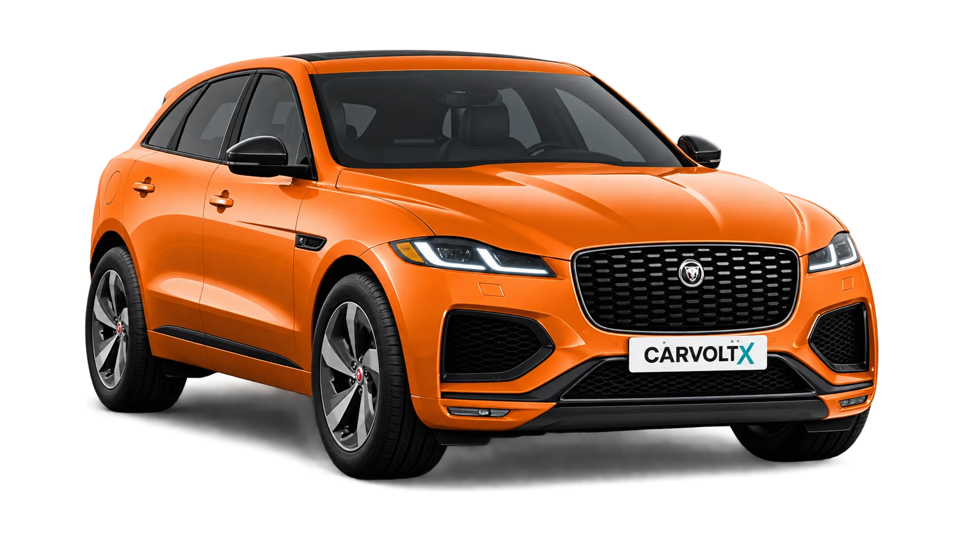 Jaguar banner