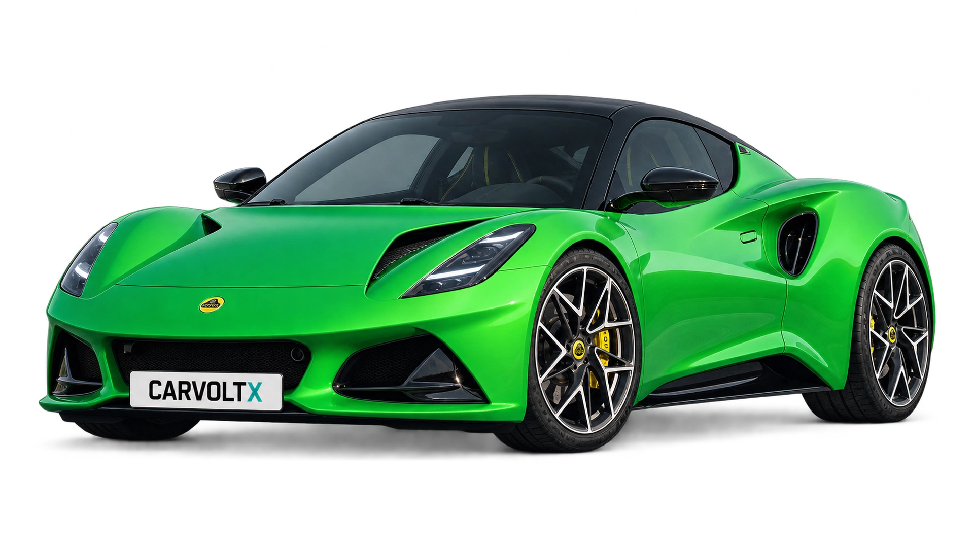 Lotus banner